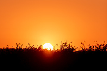 the beautiful orange colors of the sunrise