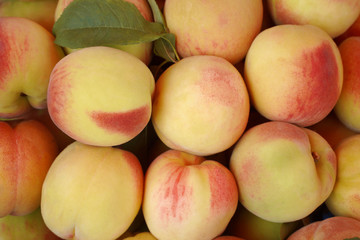 fresh juicy peaches close up