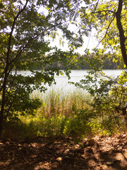  Walk around Trebuser See. Mobile foto.