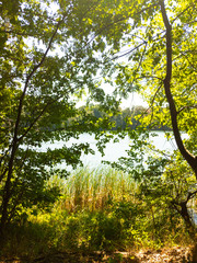 Sun shines through the trees. Walk around Trebuser See.
Mobile foto.