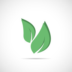 Green leaf illustration.