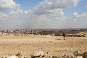 woman by camel walking in the desert