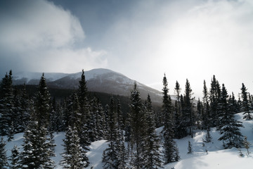 winter in the mountains