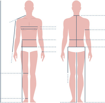Male body for measuring the size vector illustration