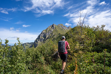 Fototapeta premium Frankreich im Sommer Portes du Soleil
