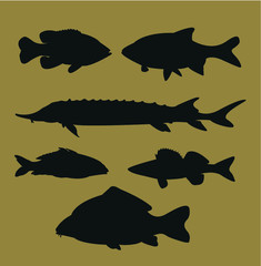 Fish icon