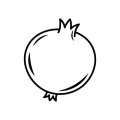 Vector line art pomegranate icon. Isolated fruit silhouette in cartoon style. Fruit pictogram for coloring page