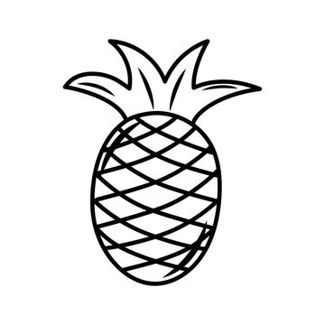 Vector line art pineapple icon. Isolated fruit silhouette in cartoon style. Fruit pictogram for coloring page