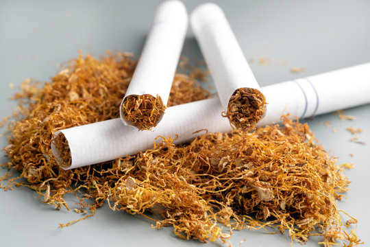 Close up view of the cigarettes and tobacco heap. Smoking rates have generally declined in the developed world, but continue to rise in some developing nations.