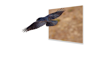 Surreal picture of nature. Abstract images. 