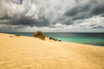 Fototapeta na wymiar Jandia auf Fuerteventura