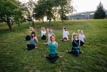 Obraz premium A group of people do yoga in the Park at sunset. Healthy lifestyle, meditation and Wellness