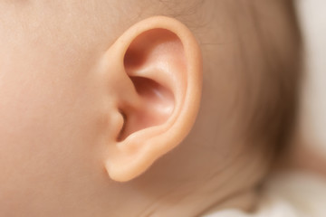 close up of a ear
