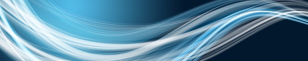 Abstract elegant wave panorama design illustration