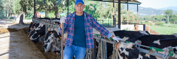 The male farmer is satisfied with his cows and his work.