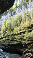 Berghang mit Bäumen in den Alpen