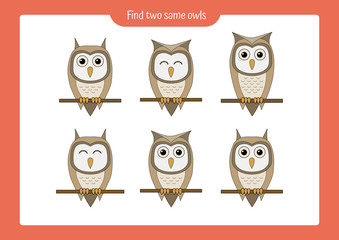 Educational game for children. Find two same owls. Trains attention.