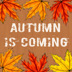 Light inscription Autumn is coming, surrounded by yellow, orange and red maple leaves. lettering in the middle of fall foliage on brown wooden planks texture. Square social networks post, postcard