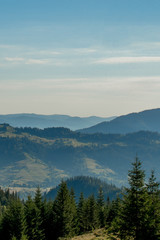 Morning sunny day is in mountain landscape. Carpathian, Ukraine, Europe. Beauty world. Large resolution