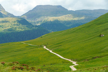 Landscape of Dolomites in Venegia valley at summer