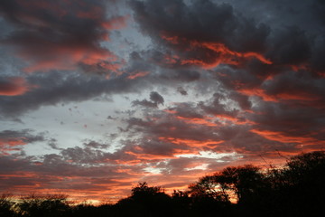 Red clouds sunset 1