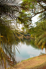 Lago e ponte - uma nova perspectiva