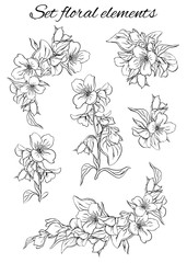 Fototapeta premium Illustration of a branch of blooming jasmine with leaves and buds.