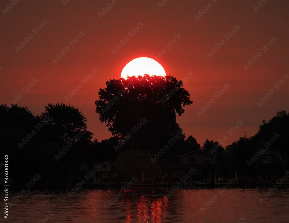 Wall mural mushroom tree sunrise 2