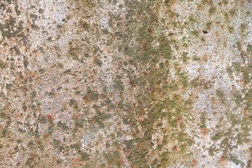 texture of old painted rusty metal