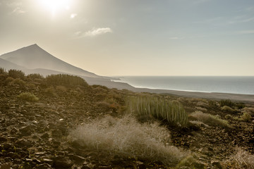 Playa de Cofete auf Fuerteventura