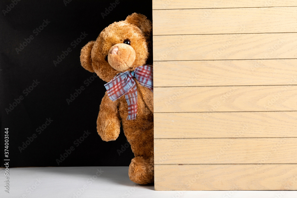 Wall mural Teddy bear standing indoors