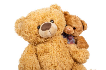 Teddy bear with little bear on white background.
