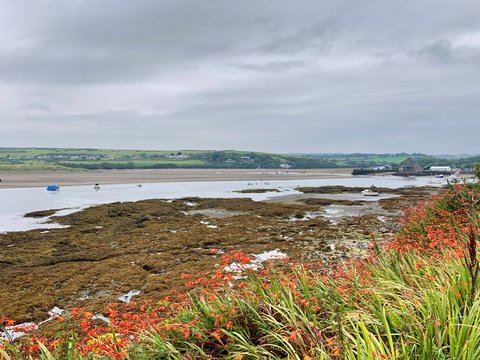 View from the coast path to the Parrog, Newport, Pembrokeshire, Wales