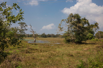 Sri Lanka, temples and landscape around Sigiria and the Liobs Rock