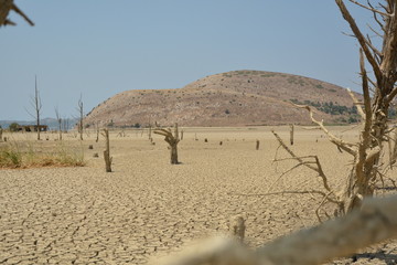 Dry land in tunisia