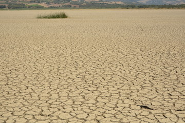 dry landscape 
