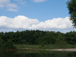 Obraz premium cloudy sky over the forest