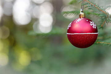 Red Christmas ball hanging on Christmas tree