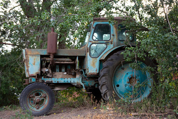 Obraz premium Vintage photo - an old blue tractor standing under a green branching tree
