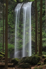 森の中の爽やかな滝