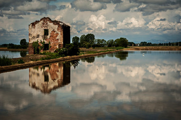 Panorama di casale nelle risaie del Novarese (Novara, Piemonte, Italia)