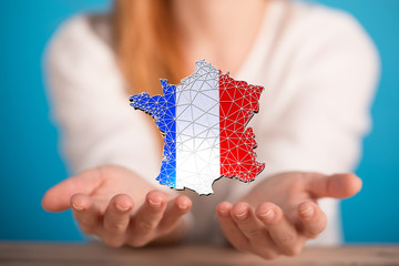 Digital France map country 3d