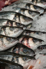 Sea bass on ice on sale at Borough Market, London, UK
