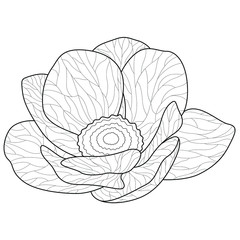Beautiful flower.Coloring book antistress for children and adults. Zen-tangle style.Black and white drawing