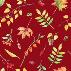 Watercolor seamless pattern with autumn elements. - 374008307