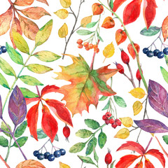 Watercolor seamless pattern with autumn elements. - 374008374