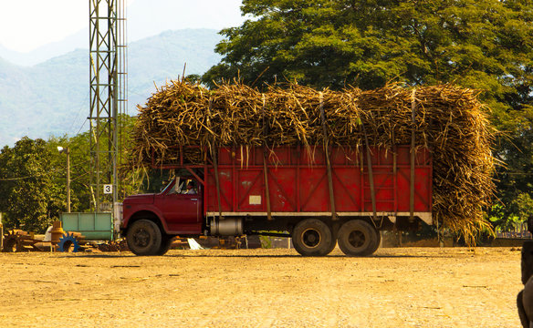 Cami&oacute;n de carga con ca&ntilde;a quemada cami&oacute;n carro ca&ntilde;ero azucarero ca&ntilde;a de az&uacute;car rojo m&eacute;xico tepic nayarit latino latinoam&eacute;rica trabajo indistria fletero transporte ca&ntilde;as