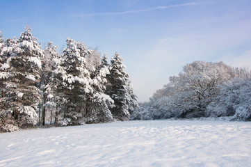 A scenic winter's landscape in Worcestershire, England, UK.
