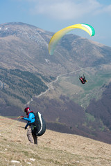 paraglider flies in the sky