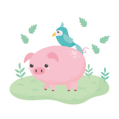 cute piggy and parrot leaves grass cartoon animals in a natural landscape